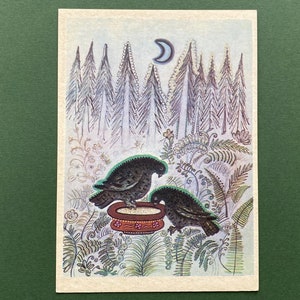 Illustratore di Y. Vasnetsov. Fagiano di monte. Cartoline inutilizzate, Cartolina postale - 1970