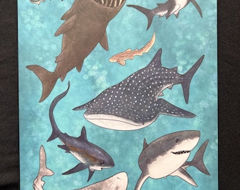 Art Print - School of Shark Friends