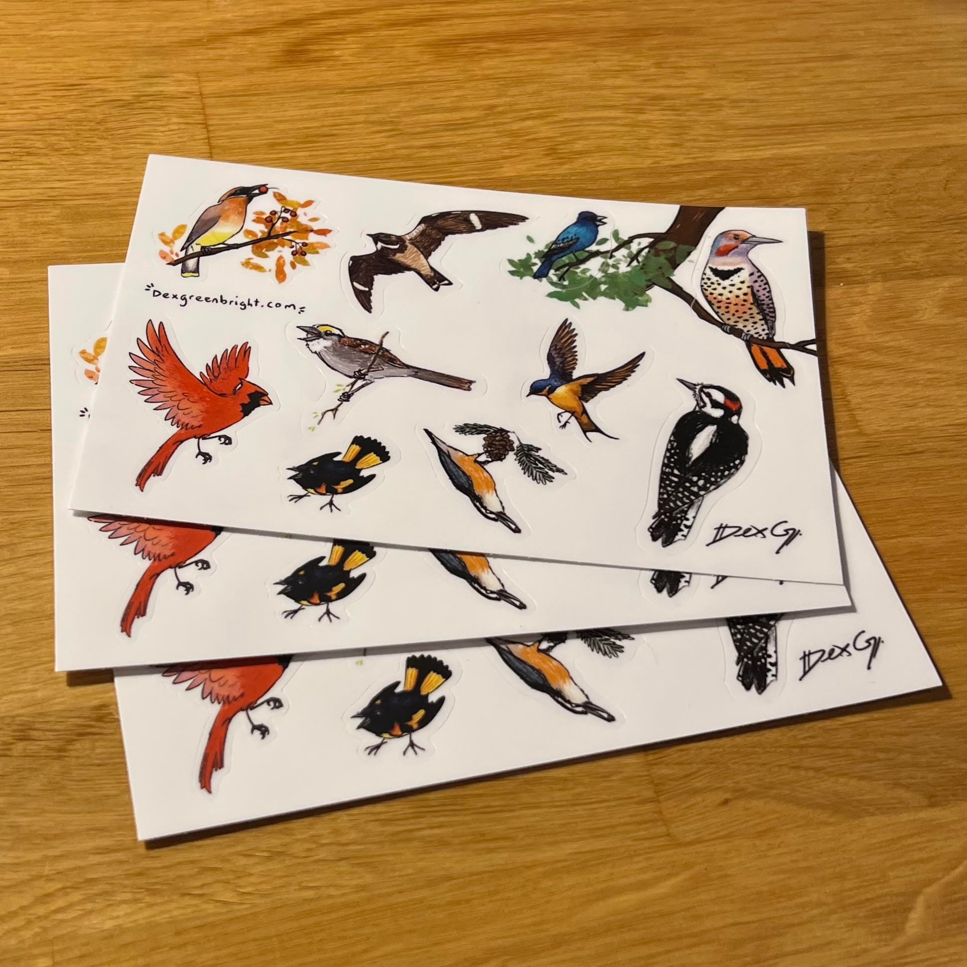 BIRD SHEET 15個セット Tree Birds - Vinyl Sticker Sheet Set - Etsy