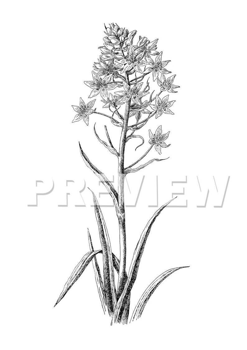 Black and White Art Print SET of 9 Black and White Decor Etsy