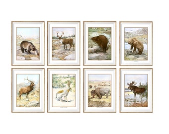 Wildlife Wall Art | Etsy