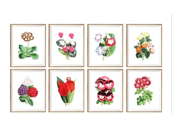Botanical Art Print SET of 8. botanical print set, botanical prints set, botanical prints a4, flower prints 8x10, set of flower prints, wall