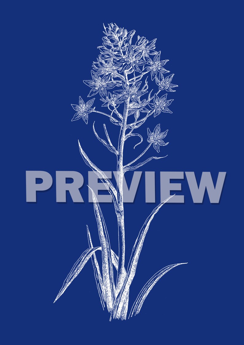 Navy Botanical Art Print SET of 15. Botanical Wall Art Navy Etsy