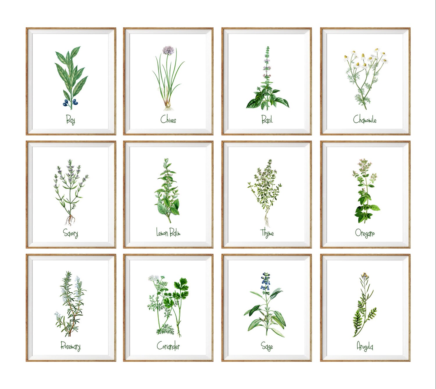 Botanical Art Print SET. 8x10 UNFRAMED. kitchen prints | Etsy