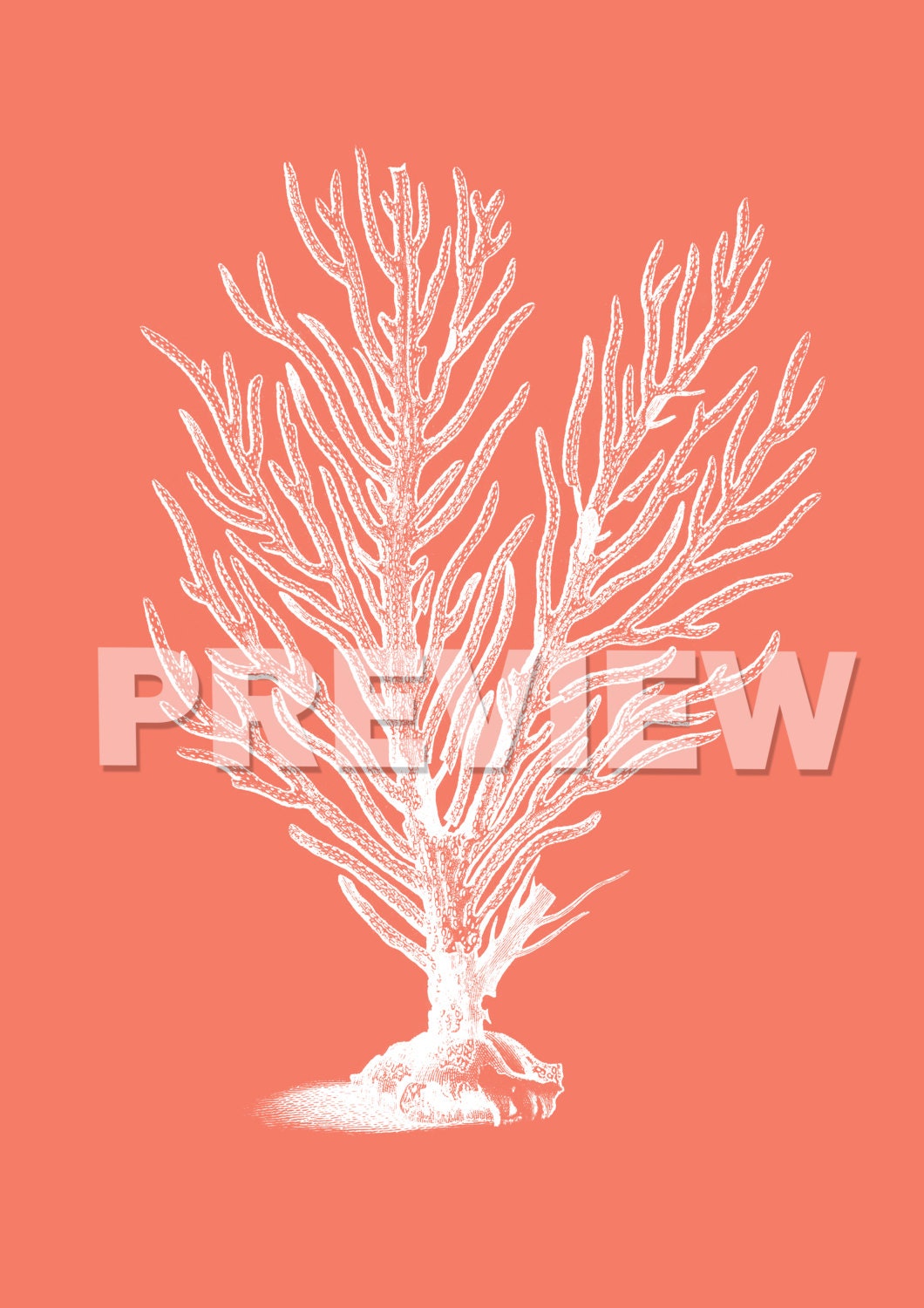 Sea Coral Art Print SET OF 12. UNFRAMED Coral Decor Sea Coral Etsy