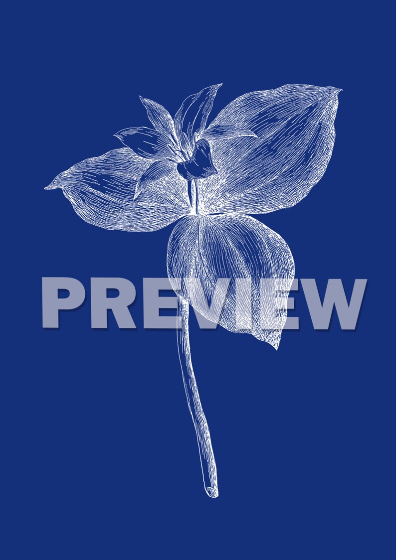 Navy Botanical Art Print SET of 15. Botanical Wall Art Navy Etsy