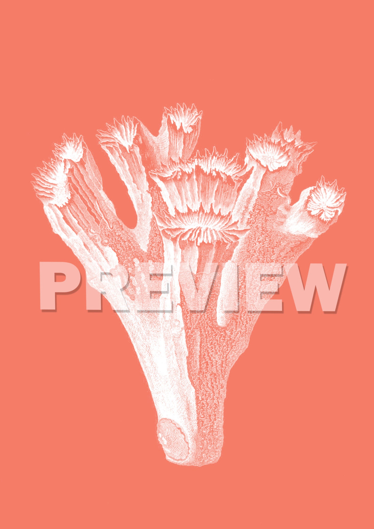 Sea Coral Art Print SET OF 12. UNFRAMED Coral Decor Sea Coral Etsy