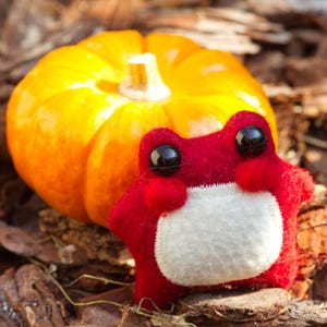 Puede incluir: Una calabaza de color naranja brillante con un tallo corto se encuentra junto a una rana de fieltro rojo con vientre blanco y grandes ojos negros. La rana es un objeto artesanal hecho a mano. El fondo está compuesto por virutas de madera marrón.