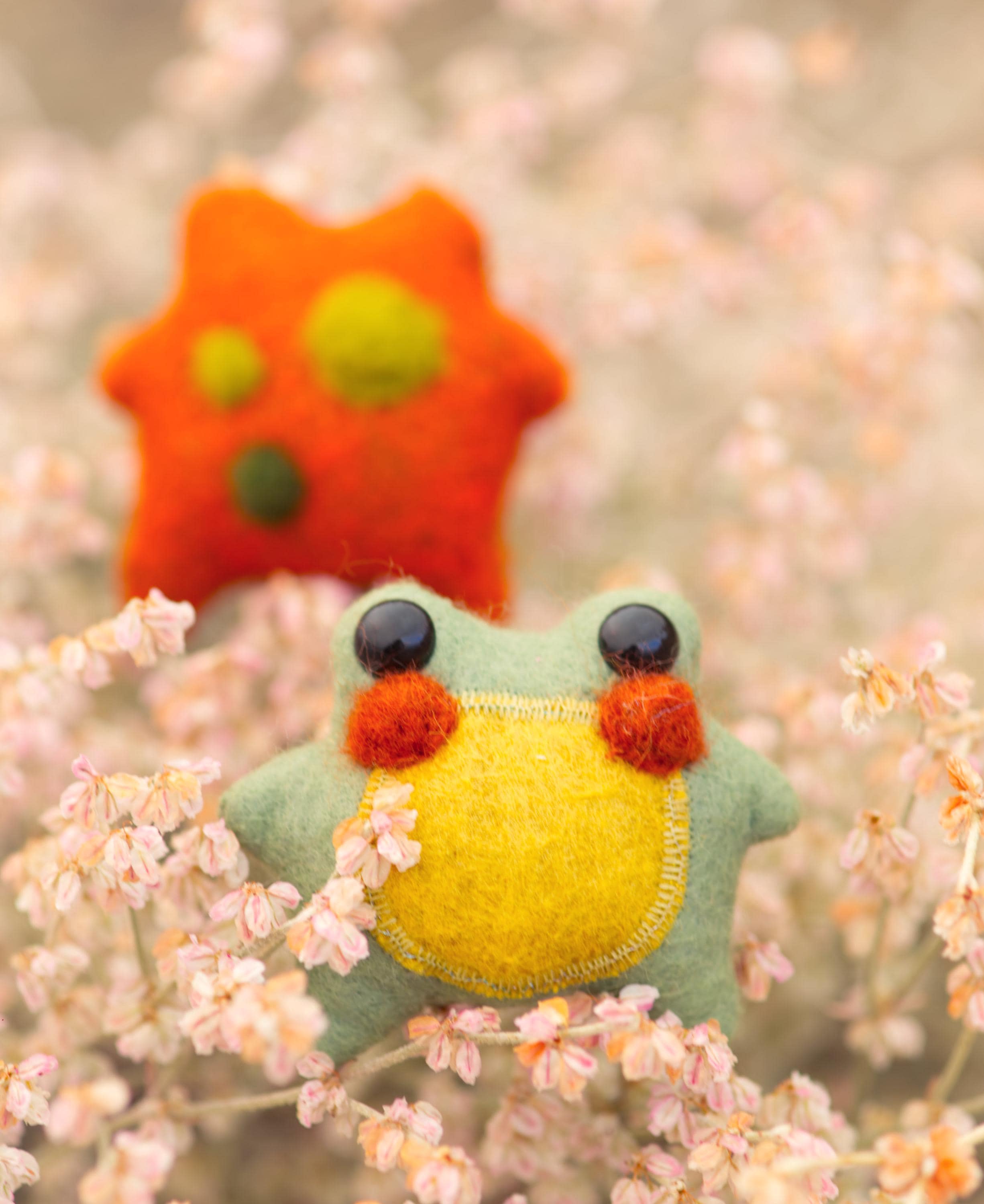 Sage the Weighted Pocket Frog Felt Friend