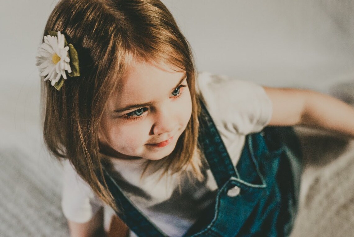 Daisy Hair Clip Set Daisies Hair Clips Floral Hair Bobble Etsy UK