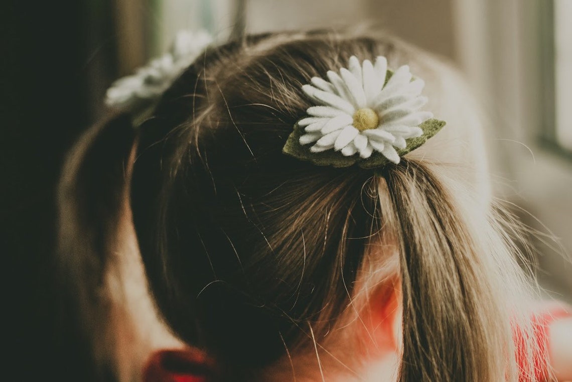 Daisy Hair Clip Set Daisies Hair Clips Floral Hair Bobble Etsy UK