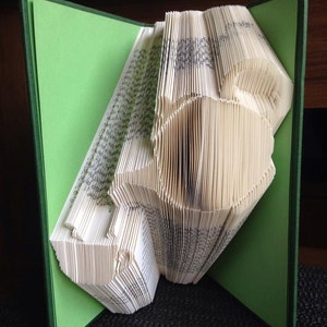 Può includere: Un libro con le pagine piegate in una forma tridimensionale, che ricorda un cane. Il libro è aperto e le pagine sono piegate per creare la forma della testa e del corpo del cane. Il libro è su una superficie verde.