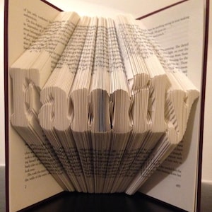 Puede incluir: Una escultura de arte de libro con la palabra "Family" doblada en las páginas. El libro está abierto y las páginas están dobladas para crear la palabra.