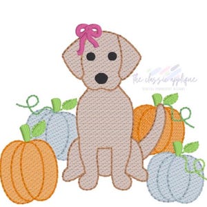 May include: An embroidered design featuring a tan dog with a pink bow, surrounded by orange and blue pumpkins with green vines. The text "The classic applique" is in the upper right corner.