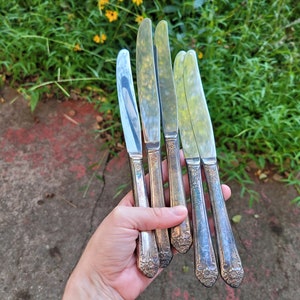 May include: Five silver-plated butter knives with ornate handles. The knives are arranged in a fan shape and are held in a hand.