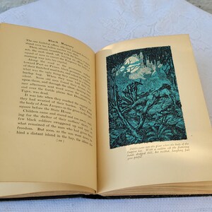 May include: An open book with a black and white illustration of a jungle scene. The text on the page reads "Black Magic".