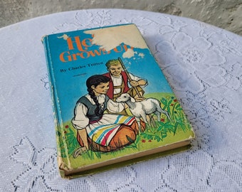 Heidi Grows Up, Charles Tritten, Johanna Spyri, Vintage Hardback Children's Book, Unabridged, 1971, Whitman Classics, Western Publishing