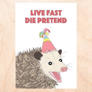 LIVE SNEL - Opossum Verjaardagskaart - Grappige Verjaardagskaart - Pessimistische verjaardagskaart - Live Fast Die Pretend