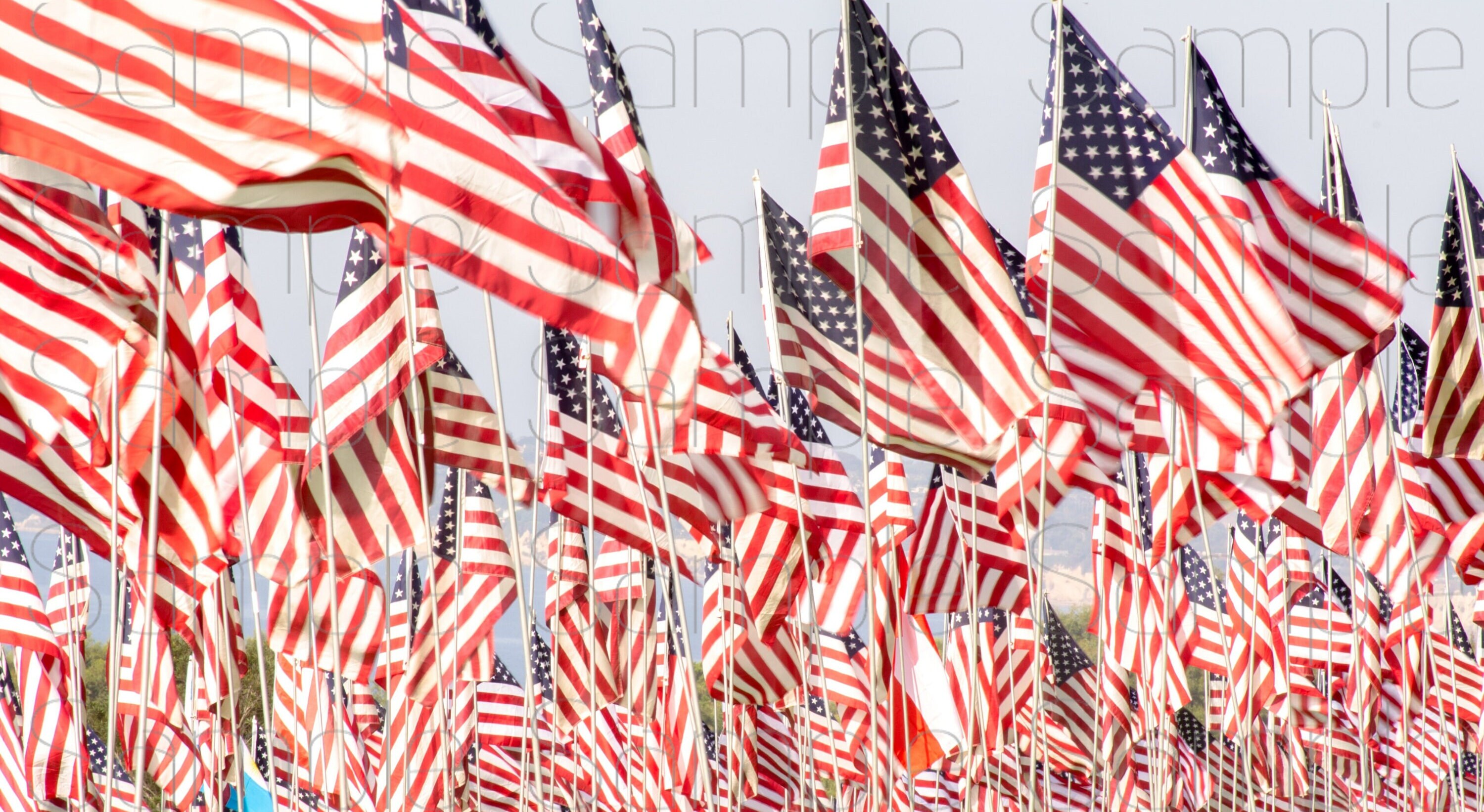 Zoom Background American Flags - Etsy Finland