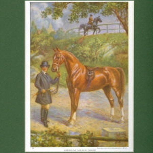 American Saddle Horse, Vintage 1923 National Geographic Print by Edward Herbert Miner