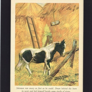 May include: A black and white horse runs away from the barn, hiding behind stacks of straw. The horse is in a field with hay bales and a ladder.