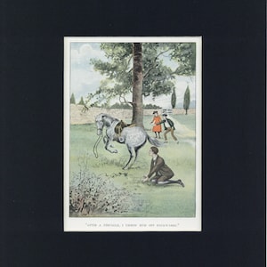 c1920&#39;s Vintage Black Beauty Illustrated Print Rider Bucked Off