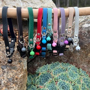 Soft Leather Breakaway Cat Collar: Personalized Pet ID Tag Option