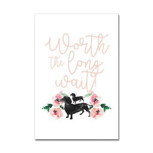 May include: A white background with pink text that reads "Worth the long wait!" with two black dachshund silhouettes in front of pink watercolor flowers.