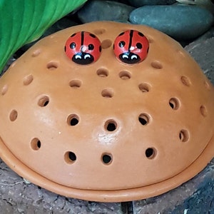May include: A terracotta-coloured garden ornament shaped like a shoe, with numerous circular holes. Two red ladybug decorations with black spots and faces are affixed to the top. The ornament is placed on a stone surface, with green foliage visible in the background.