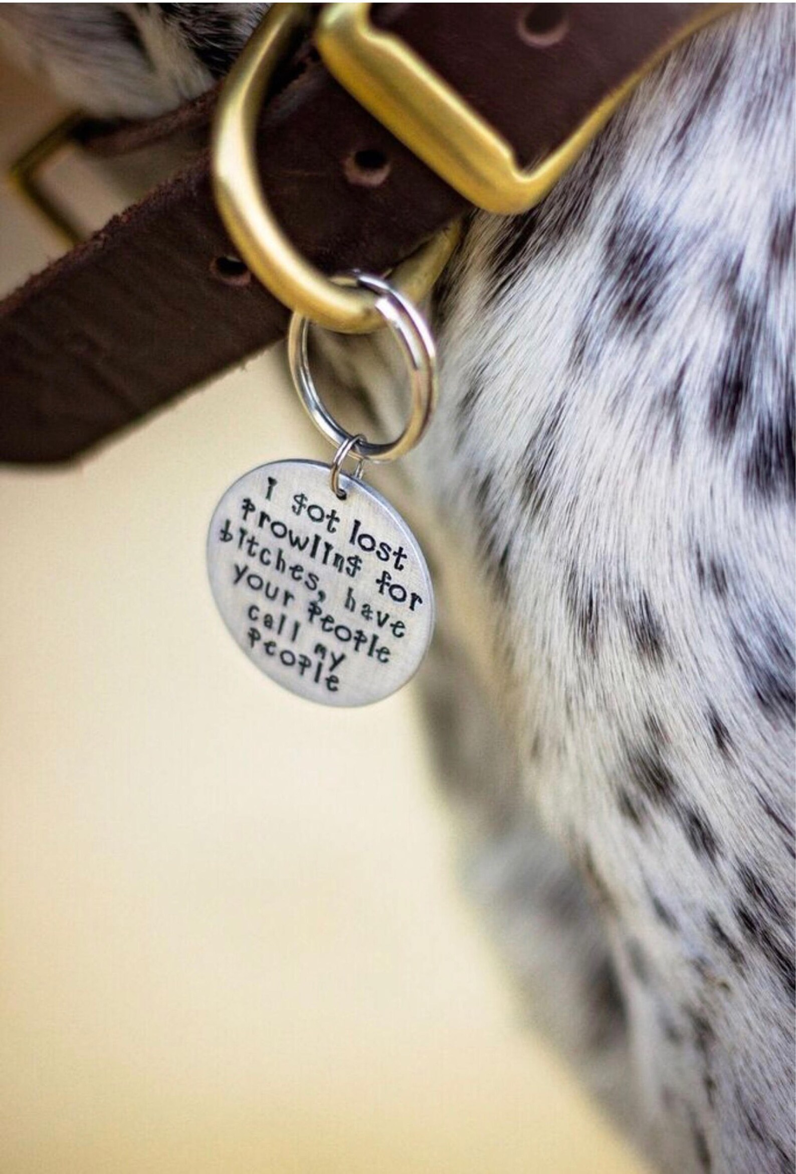 funny pet tags funny pet tags