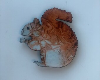 Squirrel Metal Magnet