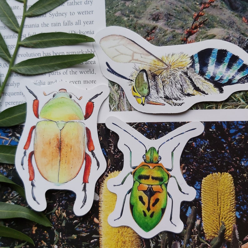 Die cut vinyl stickers Australian insects Laptop sticker Etsy