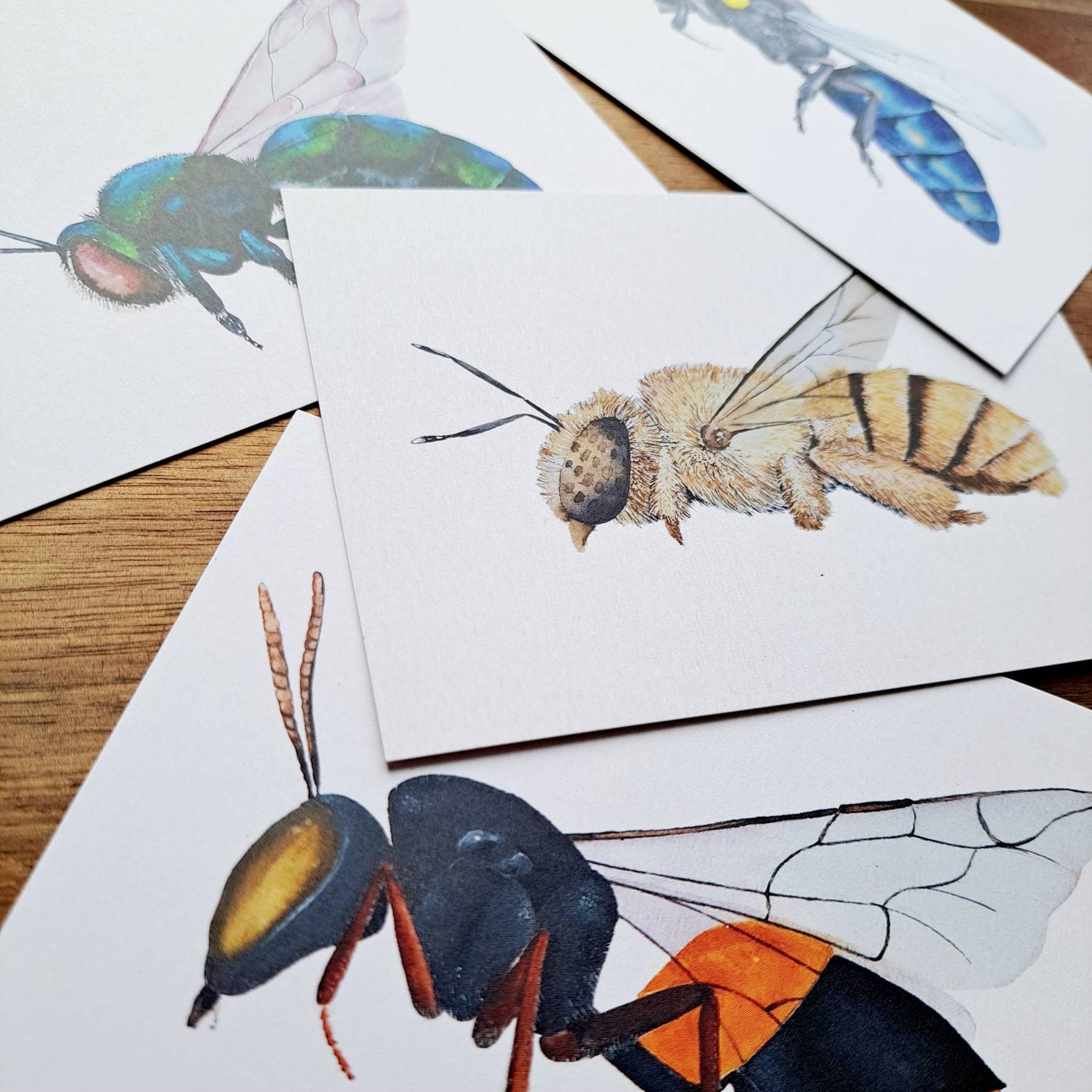 Nsw Bee Postcard | 4 Pack | Mini Prints | Australian Wildlife ...
