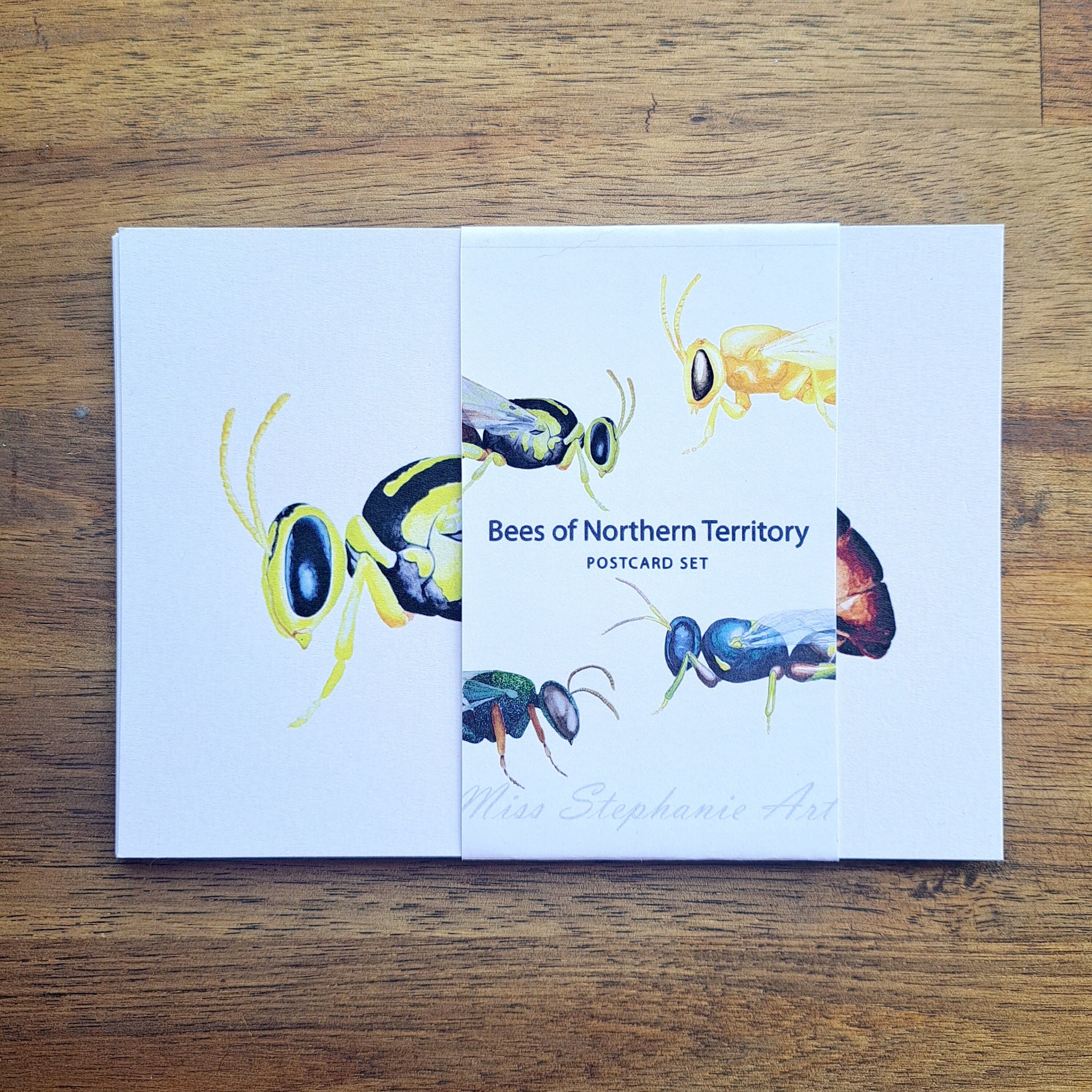 Nt Insects Northern Territory Bees Postcard | 4 Pack | Mini Prints | Australian ...