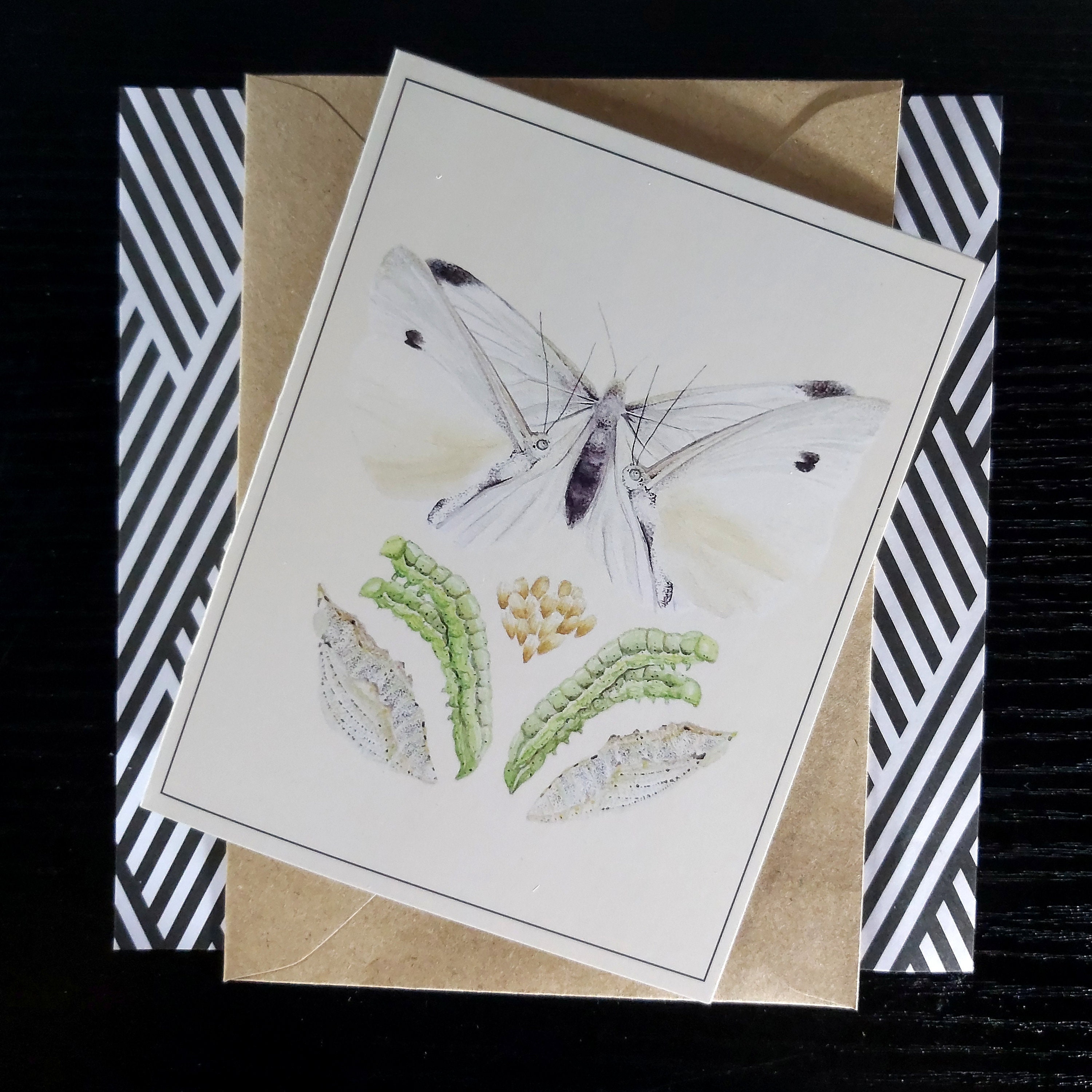 Australian Butterfly Greeting Card With Envelope Blank - Etsy
