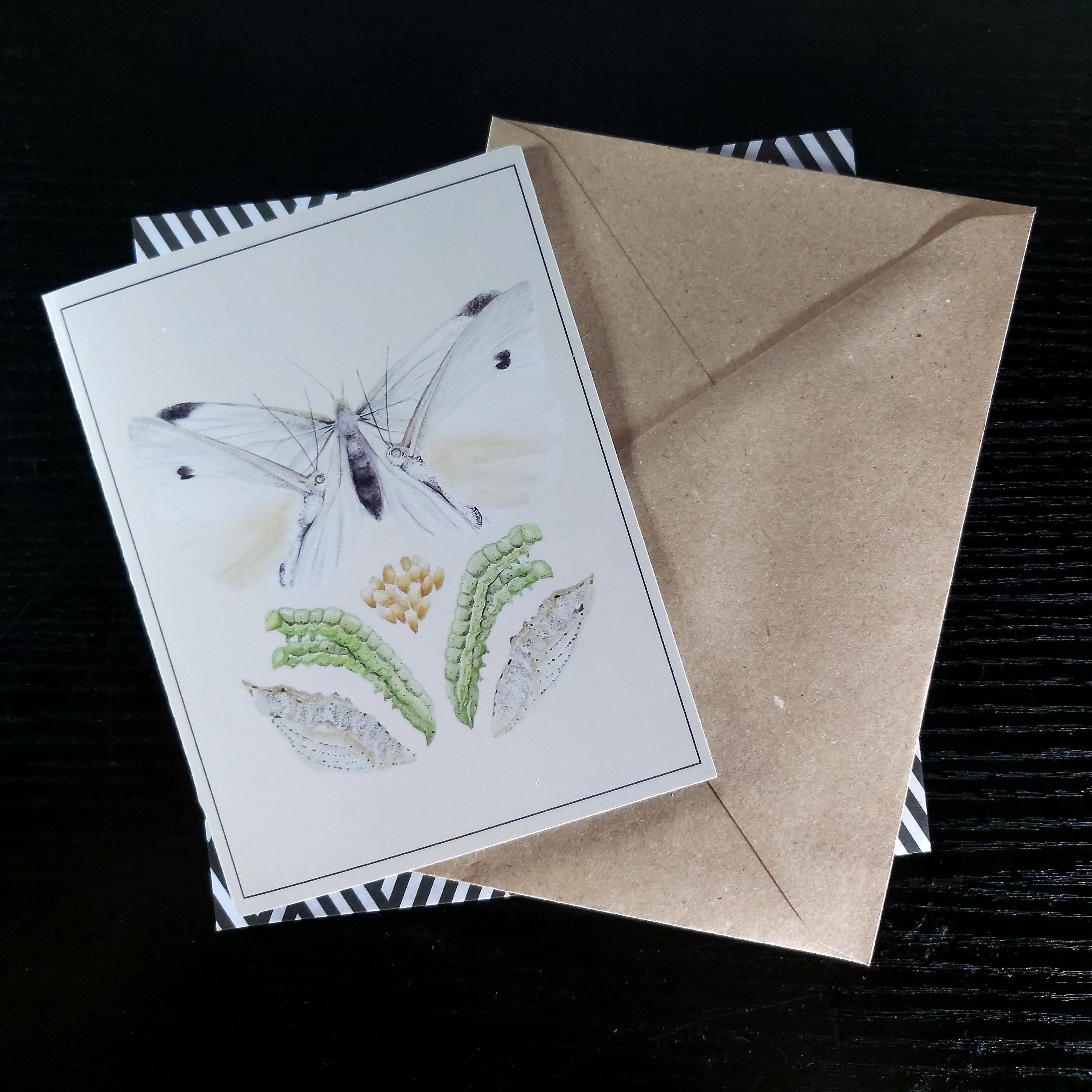 Australian Butterfly Greeting Card With Envelope Blank - Etsy