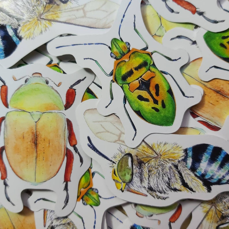 Die cut vinyl stickers Australian insects Laptop sticker Etsy