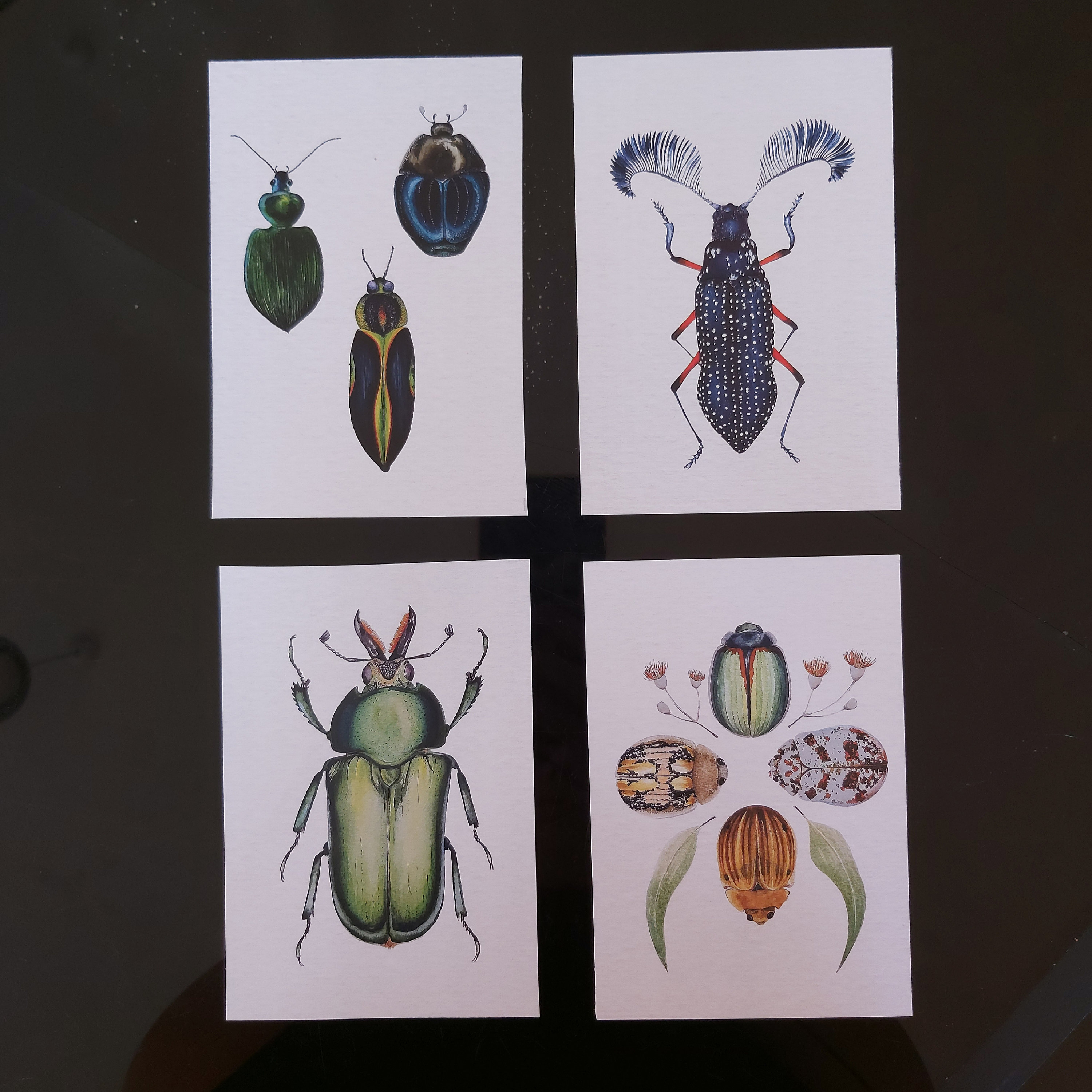 Postcard Set of Four | Beetle Artwork | Mini Prints | Wall Art ...