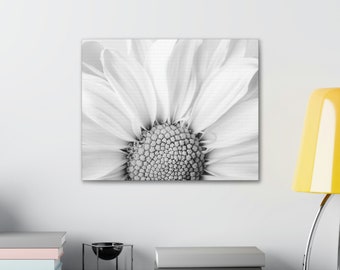 Black and White Daisy Flower Photography Cotton Gallery Wrap Canvas 20x16, Wall Art, Home Decor