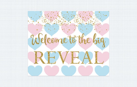 Gender Reveal Sign Gender Reveal Welcome Sign Pink and Blue Gender ...