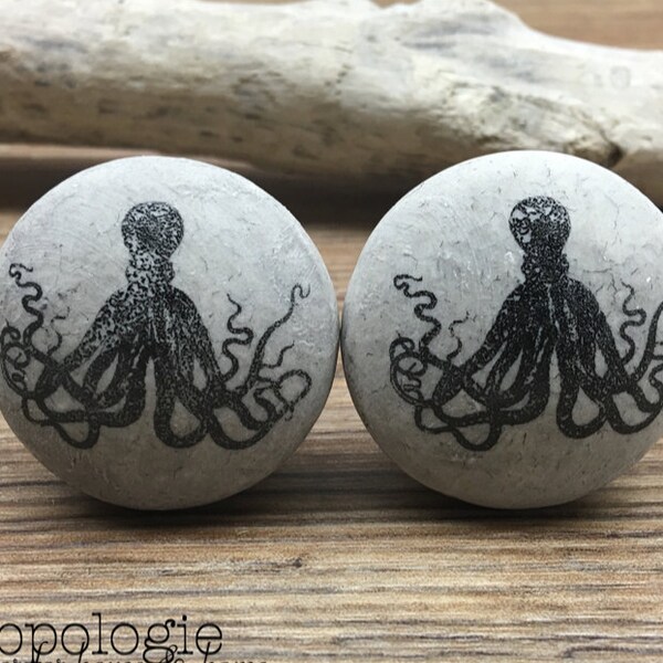 SET OF 2 Grey Stone Octopus Knobs Aged Stone Knob - Nautilus Squid Beach Nautical Drawer Pull - Ocean Animal Bathroom or Nursery decor