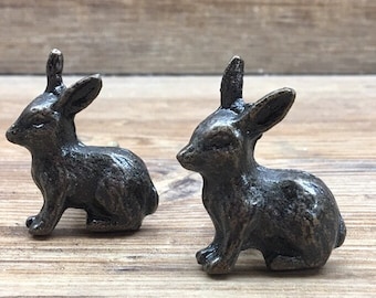 SET OF 2 - Bunny Rabbit Metal Knob - Nature Forest Fairytale Theme - Decorative Bunny Drawer Pull - Nursery