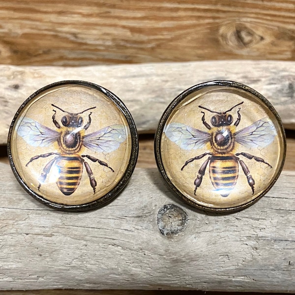 SET of 2 - Bumble Bee Glass Face Knob - Honeybee Cabinet Knob Drawer Pull - Metal and Glass Knob - Nature Decor