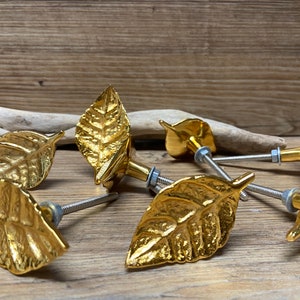 May include: Gold-coloured leaf-shaped cabinet knobs. The knobs have a detailed leaf design and are mounted on silver-coloured screws. The hardware is set against a rustic wooden background.