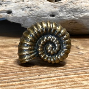 Puede incluir: Un pomo de armario en forma de concha de amonita de color bronce. El pomo tiene un diseño en espiral detallado.