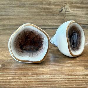 May include: Two decorative cabinet knobs. Each knob features a white exterior with a gold trim and a dark brown, textured interior. The knobs are set against a wooden background.