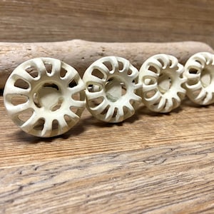 Puede incluir: Cinco tiradores de cajón de cerámica blanca con un diseño decorativo calado. Los tiradores están dispuestos en una fila sobre una superficie de madera.