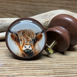 SET OF 2  - Highland Cow Knobs - Brown  -  Cute Cow Head Drawer Pull - Farm Animal Nursery Decor - Country Decorative Cabinet Decor