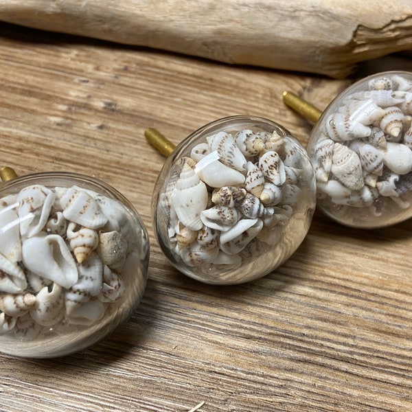 SET OF 4 Glass Seashell Filled Dome Knobs - Clear Glass Knob filled with Seashells Drawer Pull - Beach House - Nautical Nursery decor