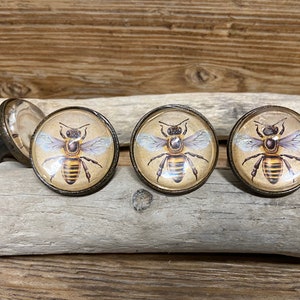 May include: Three round cabinet knobs with a vintage bee design. The knobs have a bronze-colored metal rim and a clear glass dome. The bee illustration features a yellow and black striped body, with blue and white wings, set against a tan background.